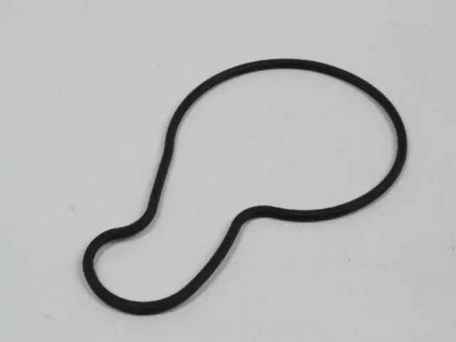 Water Pump Body Seal - Mopar (04667663AB)