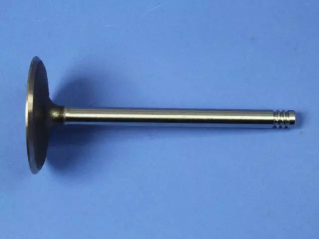 53021550AA - : Intake Valve for Mopar Image