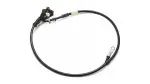 8212333020 - Electrical: Negative Cable for Toyota Image
