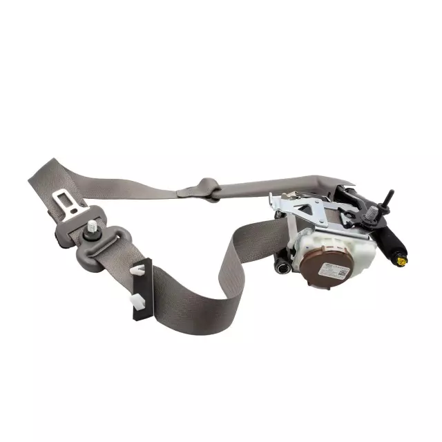 GL3Z18611B08AA - Electrical: Outer Belt for Ford: F-150 Image