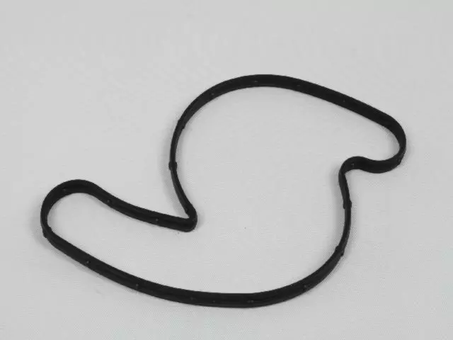 Water Pump Gasket - Mopar (4792982AA)