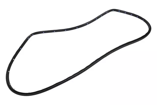 Rear Driver Side Door Weatherstrip - GM (84270780)