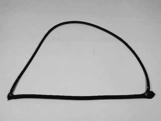 Door Weather-Strip - Mopar (05008843AD)