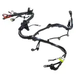 WC97969 - : Motorcraft™ Battery Cable Harness for Ford: F-150 Image