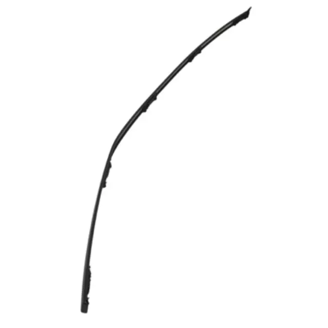 Roof Molding - Ford (CP9Z-5450462-A)