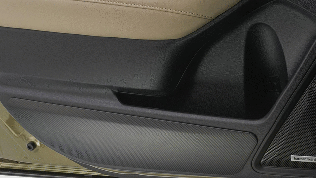 J131SAN000 - Interior: Door Scuff Protectors for Subaru: Legacy, Outback Image