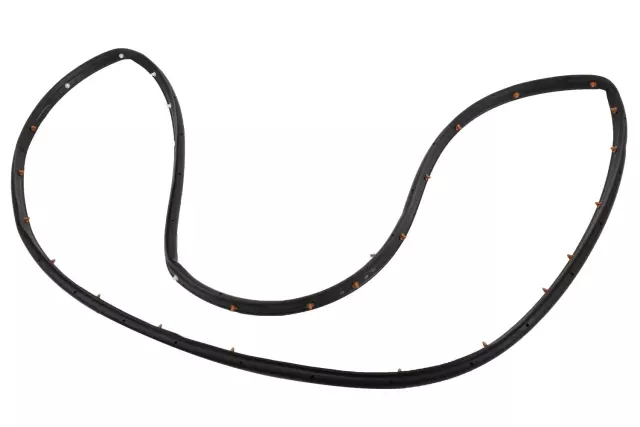 84234950 - Body: Door Weather-strip for GM Image