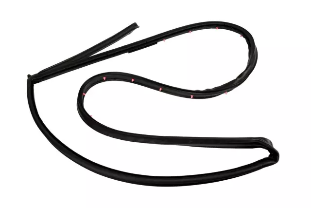 20954978 - Body: Door Weather-strip for Cadillac: CTS Image