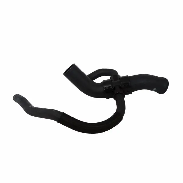 KM4534 - Belts &amp; Cooling: Motorcraftâ„¢ Radiator Coolant Hose for Ford: Escape Image