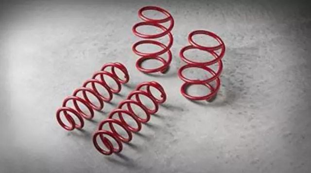 Trd Performance Lowering Springs - Toyota (PT843-1C170)