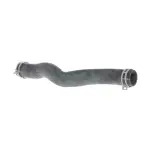 215014BA0A - Belts &amp; Cooling: Radiator Coolant Hose for Nissan: Rogue Image