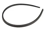 15881854 - Body: Seal To Hood for GM Image