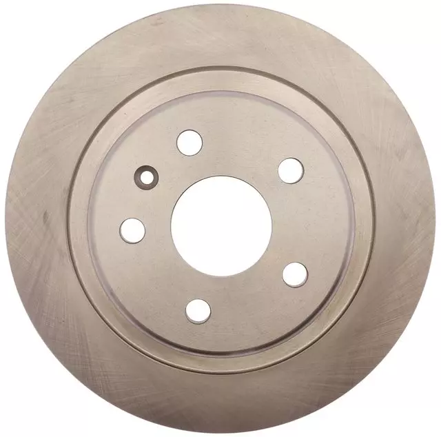 Rear Disc Brake Rotor - GM (19391295)