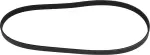 119202Y501 - : 2000-2001 Nissan Maxima - Drive Belt for Nissan: Maxima Image