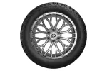 98785 - : 37x12.50R20 Iron Man All Country MT-X for Rough Country Image