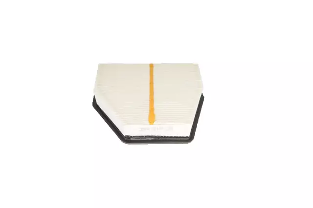 Air Filter - GM (19254733)