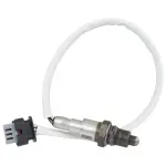 DY1611 - Emission System: Motorcraftâ„¢ Lower Oxygen Sensor for Ford: F-150, F-250 Super Duty, F-350 Super Duty, F-450 Super Duty, F-550 Super Duty Image