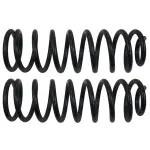 81607 - : Coil Spring Set for Moog Image