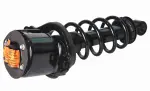 811383 - : Ford, Mercury (AWD) Suspension Strut and Coil Spring Assembly  - Rear Left for GSP Image
