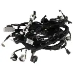P1MZ14290APA - : Wiring Assembly for Ford Image