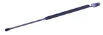610973 - : Liftgate Lift Support for Tuff Support Image