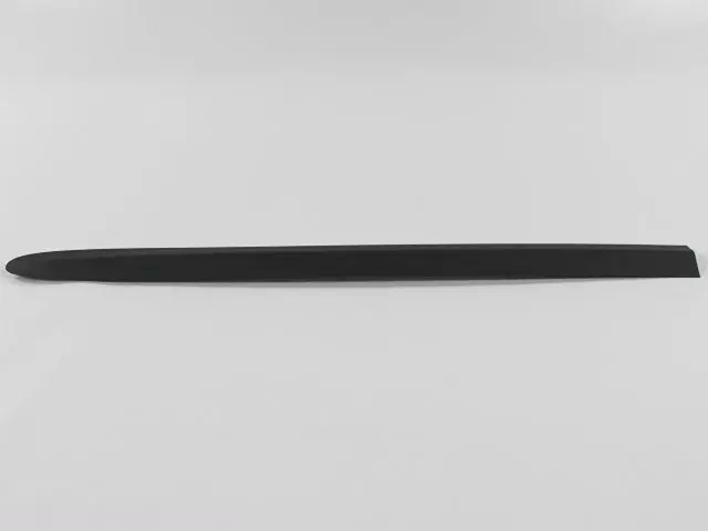 Sliding Door Molding, Right - Mopar (SU98YBMAA)