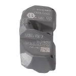 29138 - : TPMS Sensor - Clamp-In Aluminum Valve for Schrader TPMS Solutions Image