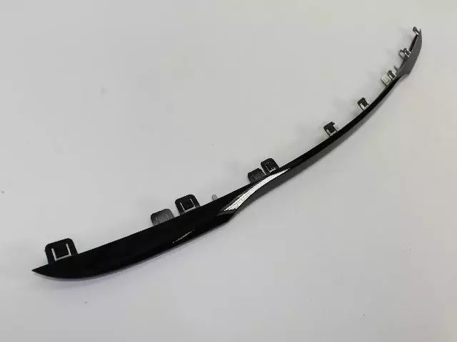 Strip Molding - Mopar (68102312AA)