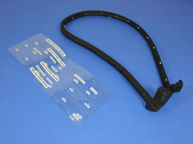 Front Door Weatherstrip, Right - Mopar (5017010AB)