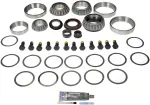 697039 - : Ring And Pinion Master Bearing And Installation Kit for Dorman Image