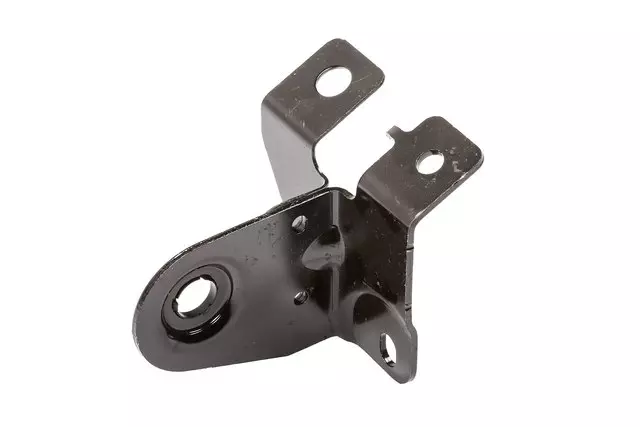 13308429 - Body: Hinge for Cadillac: ATS, CT4, CTS Image