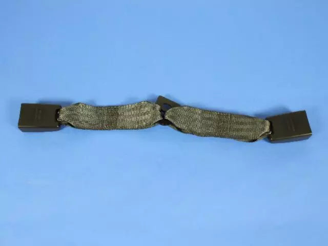 Buckle - Mopar (1GD231DVAA)