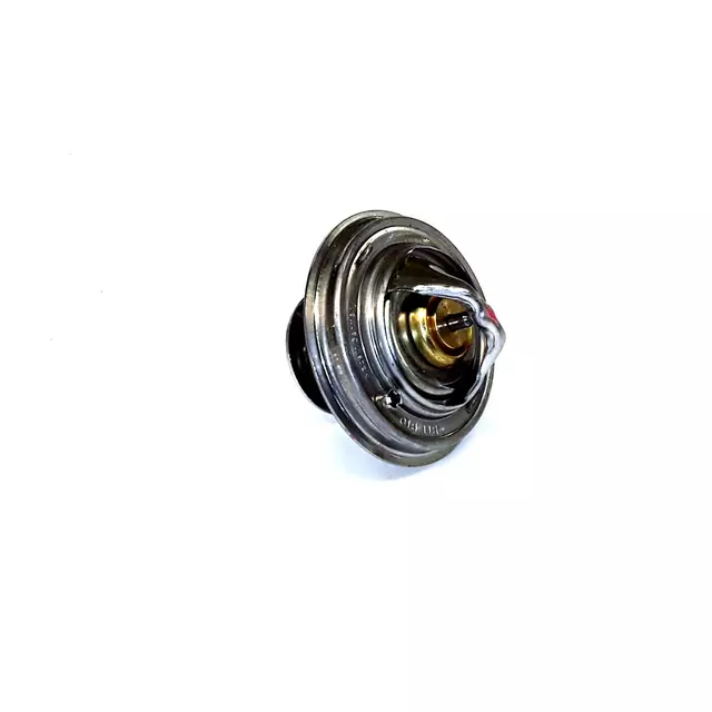 Thermostat - Audi (077-121-113-D)