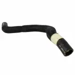 KM5171 - Belts &amp; Cooling: Motorcraft™ Radiator Coolant Hose for Ford: Fusion | Lincoln: MKZ Image