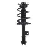 920150 - : PRT 920150 Suspension Strut and Coil Spring Assembly for PRT PERFORMANCE RIDE Image