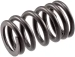 VS2255 - : Stock Replacement Valve Spring for Melling Image