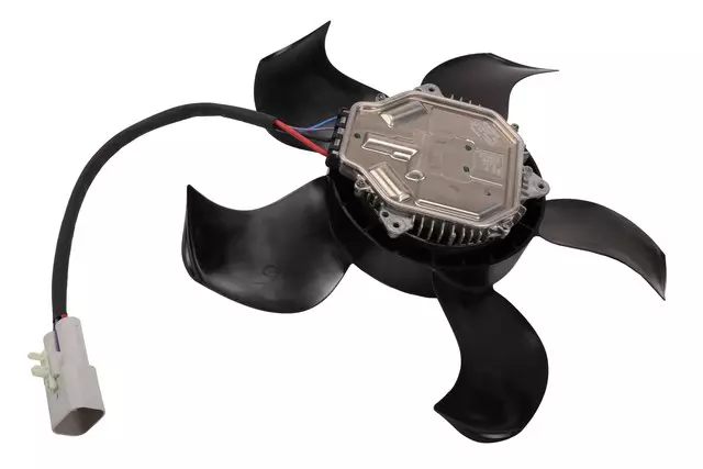 Fan & Motor - GM (85600145)