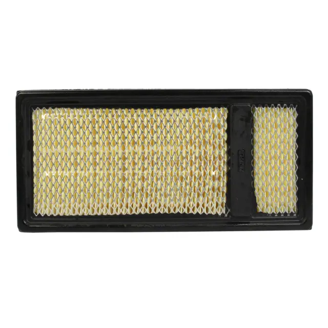 Engine Air Filter - Ford (BC3Z-9601-F)