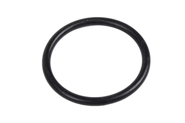 12650512 - Belts and Cooling: Water Pump Seal for Chevrolet: Colorado, Express 2500, Express 3500 | GMC: Canyon, Savana 2500, Savana 3500 Image