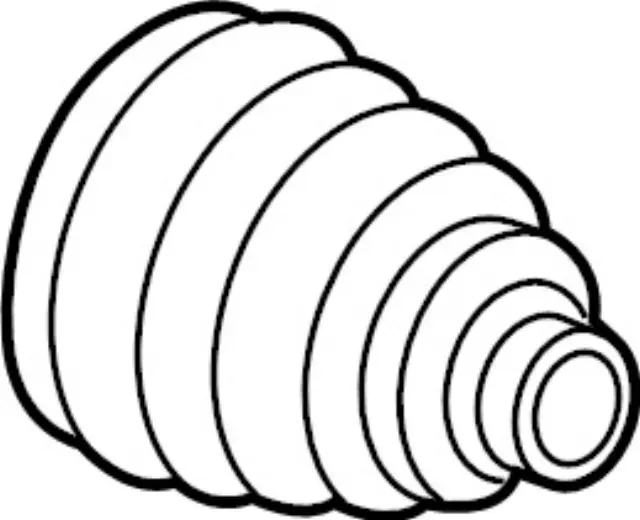 Inner Boot - Infiniti (C9GDA2U60H)