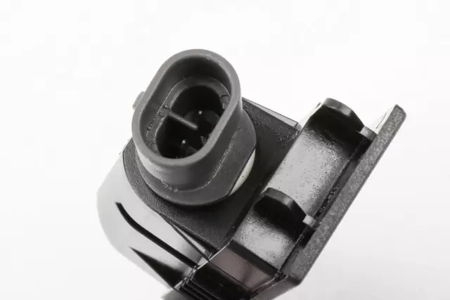 Rear License Plate Lamp - GM (13251936)