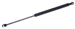 613613 - : Trunk Lid Lift Support for Tuff Support Image