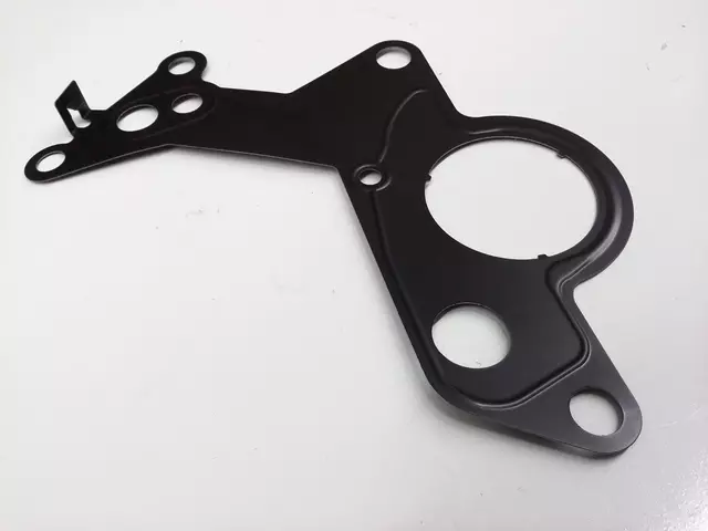 38145215 - : Vacuum Pump Gasket for Volkswagen: Beetle Image