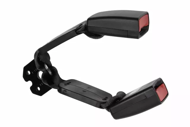 19330995 - : Black Rear Driver Side Seat Belt with Buckle for GM Image