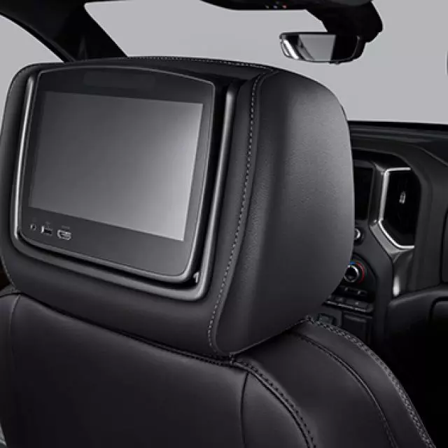 Headrest and Video Screen Assembly - GM (84556193)