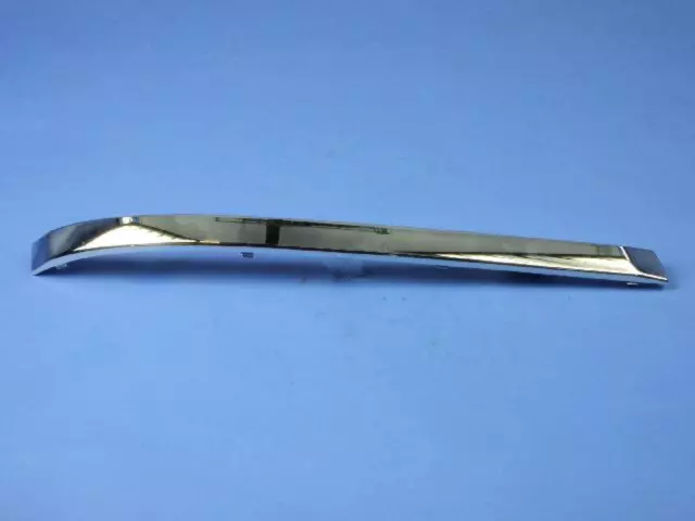 Molding - Mopar (05113113AA)