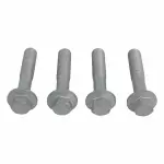 W500111S442 - Cooling System: Trans Cooler Bolt for Ford: Explorer | Lincoln: Aviator Image