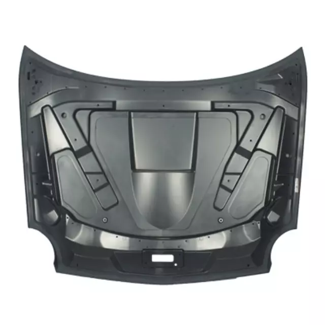 Hood - Ford (1W6Z16612AA)