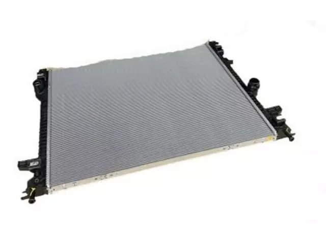 Radiator - Ford (F2GZ-8005-G)