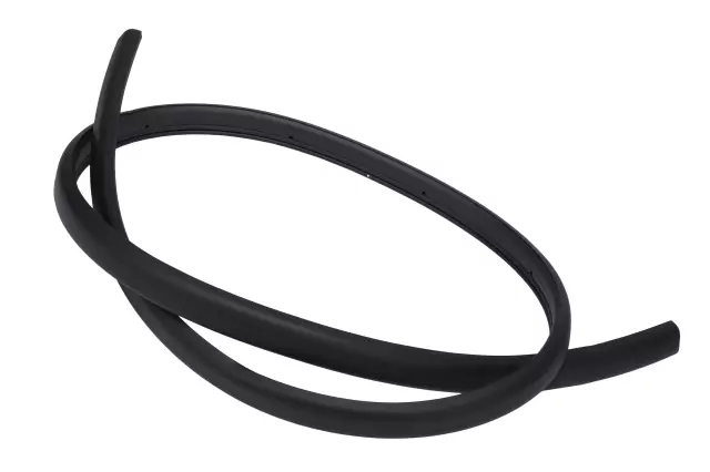 Sunroof Window Seal - GM (84752912)